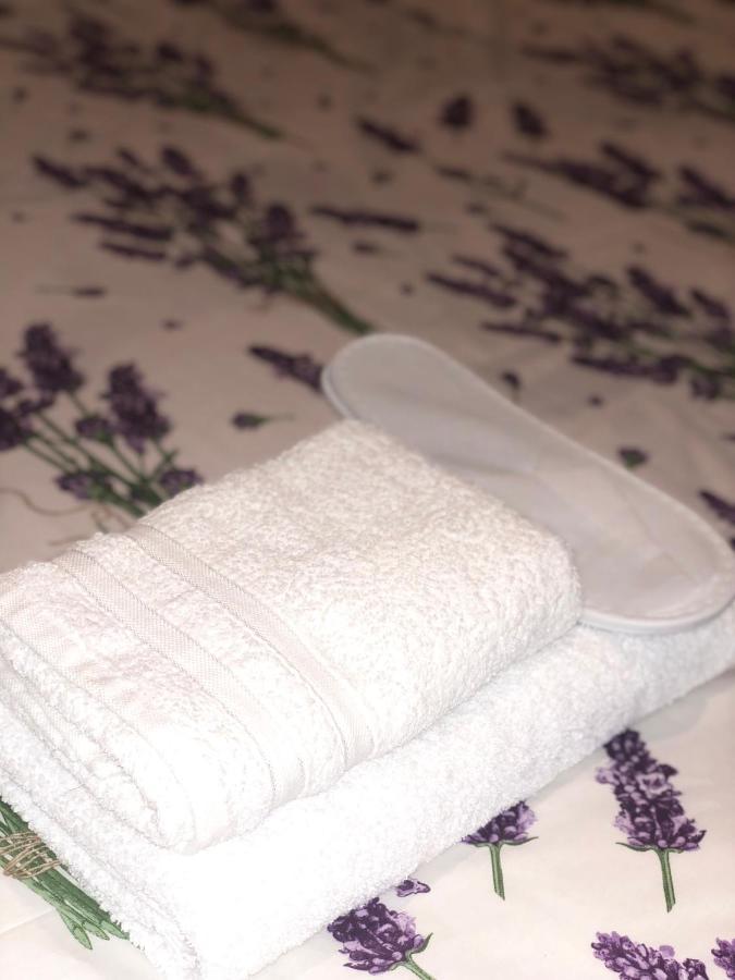 Papillon Apartament Czakwi